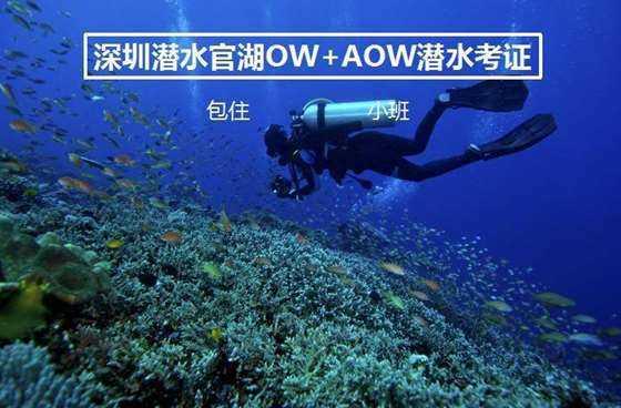 蛇蛇争霸